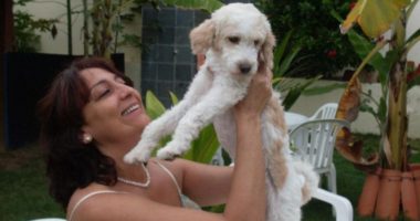 Artigo: Vereadora e cachorro que foi espancado são homenageados por bloco