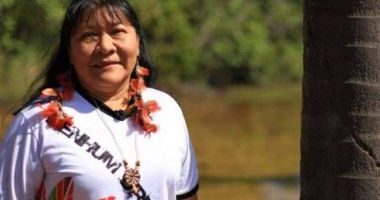 Artigo: Primeira mulher indígena é eleita deputada