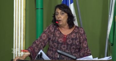 Artigo: Ana Rita critica criação de conselho