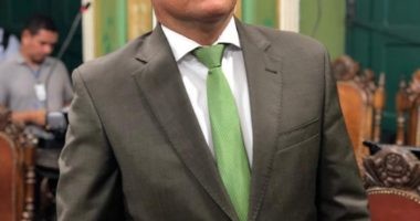 Artigo: Ricardo Almeida contra peladatona