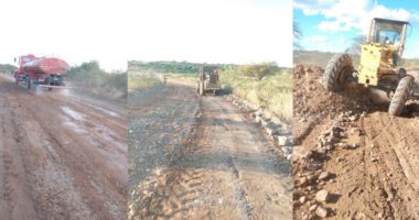 Artigo: DNOCS recupera 50km de estrada em Curaçá, no norte do estado