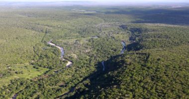 Artigo: Governo inicia revisão da política sobre mudança do clima da Bahia