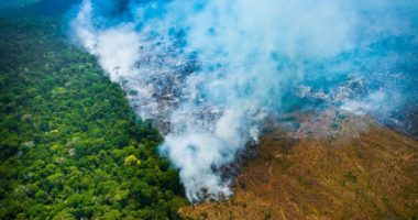 Artigo: Ministério do Meio Ambiente quer reduzir meta de preservação da Amazônia