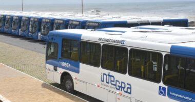 Artigo: MP-BA recomenda que transporte público de Salvador volte a circular com 100% da frota