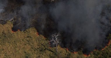 Artigo: Inpe: desmatamento na Amazônia Legal tem aumento de 21,97% em 2021