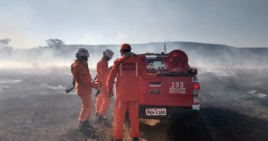 Artigo: Barra: incêndio varre localidade próxima da zona urbana