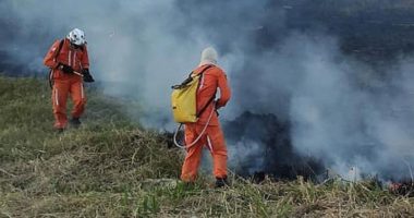 Artigo: Governo decreta situação de emergência em 16 cidades atingidas por incêndio