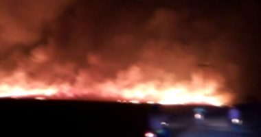 Artigo: Incêndio em Barra atinge pelo menos mil hectares