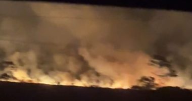 Artigo: Incêndio atinge vegetação da região de Conceição do Jacuípe