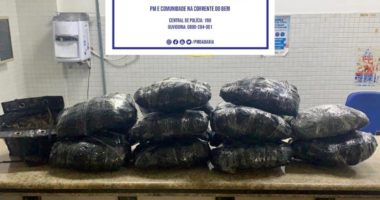 Artigo: Rondesp Atlântico prende casal com 31 kg de maconha