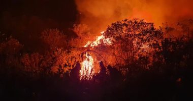 Artigo: Governo decreta estado de emergência em cidades atingidas por incêndios