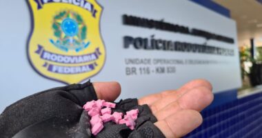 Artigo: Homem é preso com 14 mil comprimidos de ecstasy em ônibus na Bahia