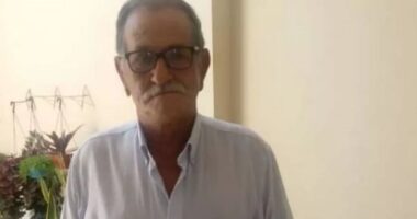 Artigo: Idoso morre após ataque de abelhas, em Irecê