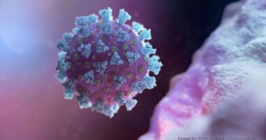 Artigo: Covid-19: país tem redução de casos e mortes; exceção é estado do Rio