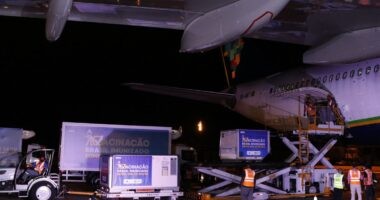 Artigo: Fiocruz libera neste sábado distribuição de vacina aos estados