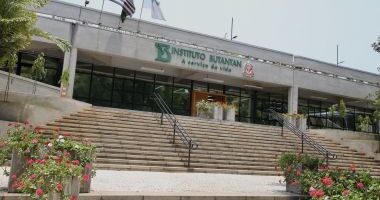 Artigo: Butantan anuncia que vai entregar 1,2 milhão de doses da Coronavac nesta terça (23)