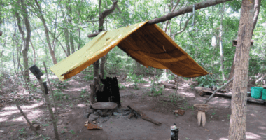 Artigo: MPT recebe mais de 6 mil denúncias de escravidão e tráfico de pessoas