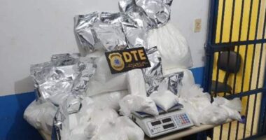 Artigo: Feira de Santana: polícia apreende 30 kg de cocaína após descobrir laboratório da droga