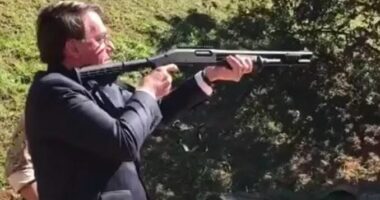 Artigo: STF pode derrubar normas editadas por Bolsonaro que flexibilizam acesso às armas