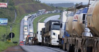 Artigo: Motoristas de caminhões e ônibus sem exame toxicológico pagarão multa