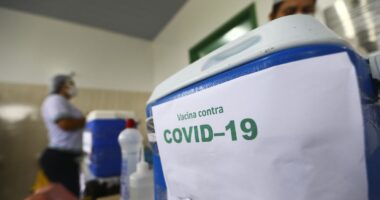 Artigo: Seis milhões de doses de vacina contra Covid-19 chegam à Bahia nesta semana, diz Vilas-Boas