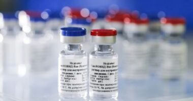 Artigo: Rússia suspende entrega da Sputnik V ao Brasil