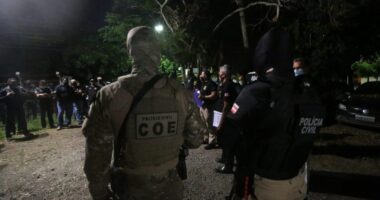Artigo: Cachoeira: polícia deflagra operação contra tráfico de drogas