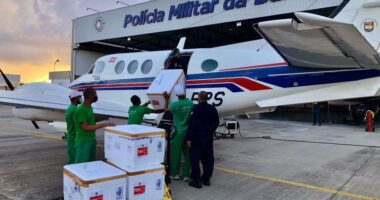 Artigo: Covid-19: novas doses de vacina devem chegar à Bahia na manhã desta quinta (1)