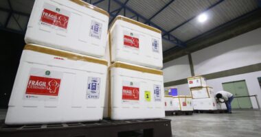 Artigo: Covid-19: Bahia recebe lote com mais 177 mil vacinas