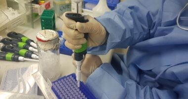 Artigo: Vacina da Fiocruz Minas e UFMG avança em testes de laboratório