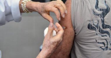 Artigo: Brasil já aplicou mais de 360 milhões de vacinas contra a Covid-19