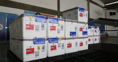 Artigo: Covid-19: Bahia recebe lote com 166.140 doses