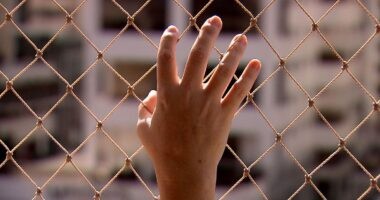 Artigo: Senado aprova formulário de registro de violência doméstica e familiar