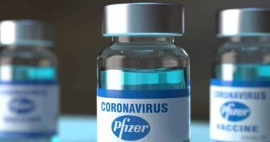 Artigo: Pfizer antecipará 600 mil doses da vacina pediátrica contra a covid-19