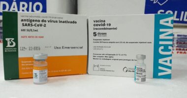 Artigo: Bahia recebe quase 300 mil doses de vacinas contra Covid-19