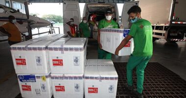 Artigo: Covid-19: país recebe lote com 2,4 milhões de vacinas da Pfizer