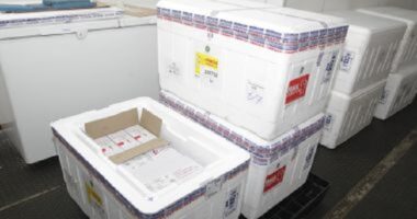 Artigo: Novo lote com 79 mil doses de vacina de Oxford chega a Salvador