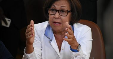 Artigo: Lídice defende nacionalização da disputa pela prefeitura de Salvador