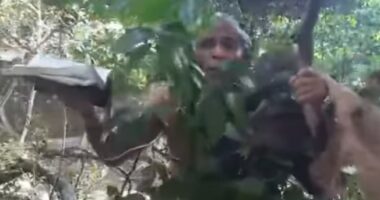 Artigo: ‘Camuflado’, Isidório promete caçar serial killer em Goiás