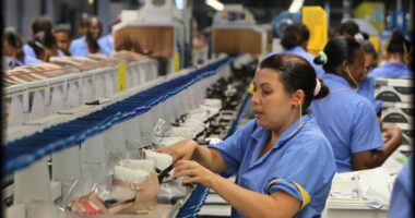 Artigo: Vendas do varejo baiano cresceram 29,4% em maio