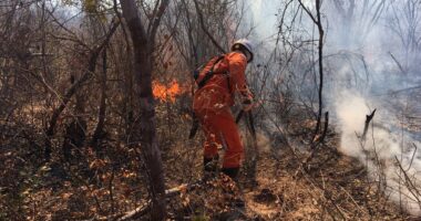 Artigo: Bombeiros seguem combatendo incêndios na Bahia