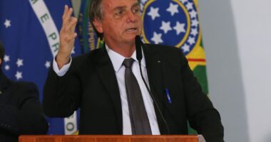 Artigo: Novo lockdown pode causar ‘caos’ e ‘rebelião’ no país, acredita Bolsonaro