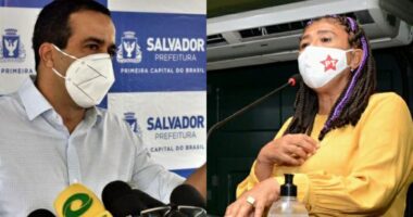 Artigo: Marta cobra arborização prometida no Plano Plurianual da prefeitura: “Cadê as 80 mil árvores?”