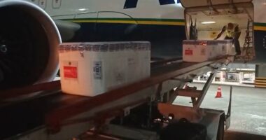 Artigo: Bahia recebe novo lote com 229 mil doses de vacina contra Covid-19