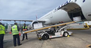 Artigo: Novo lote com 102,8 mil doses de vacina chega à Bahia