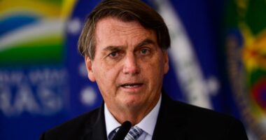 Artigo: Bolsonaro sanciona lei para retorno de grávidas ao trabalho
