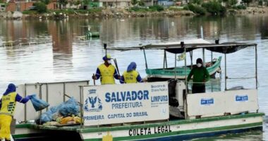 Artigo: Em 4 meses, Limpurb recolhe mais de 2 mil toneladas de lixo em praias