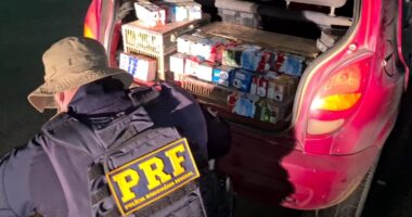 Artigo: Polícia resgata mais de mil pássaros silvestres em carro na BR-116