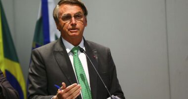 Artigo: Metrópoles: STF já tem resposta para possível perdão a Bolsonaro após eleição