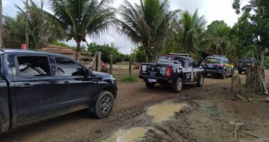 Artigo: Polícia deflagra operação contra roubo de gado e lavagem de dinheiro